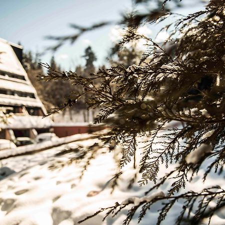 Moura Boutique Hotel By Asteri Hotels Borovets Buitenkant foto