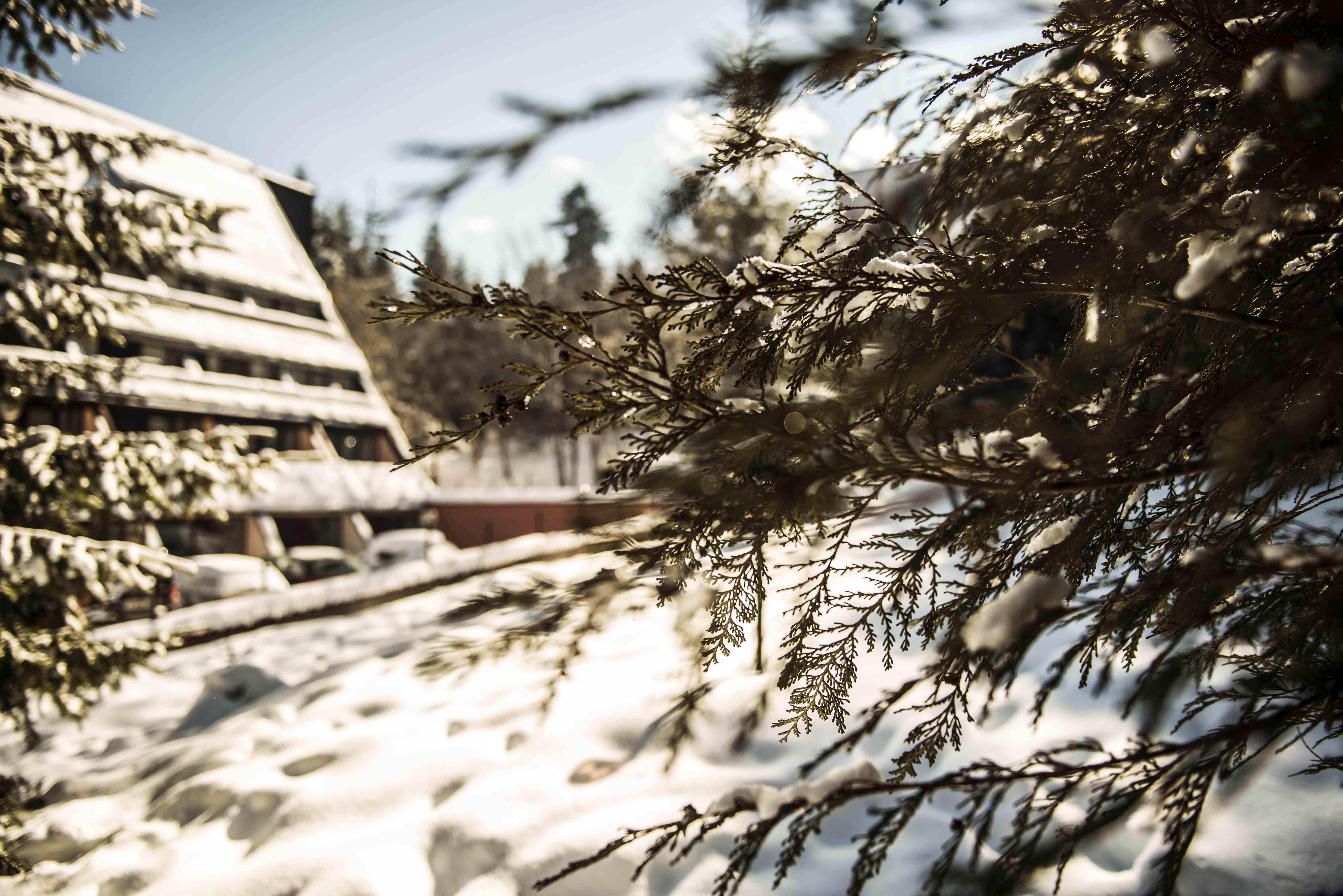 Moura Boutique Hotel By Asteri Hotels Borovets Buitenkant foto